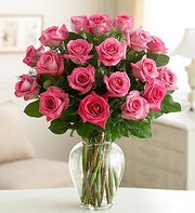 One Dozen Assorted Roses