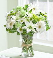 Serene Green