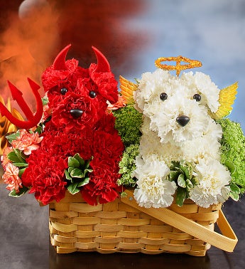 Devil Dog, Angel Dog?
