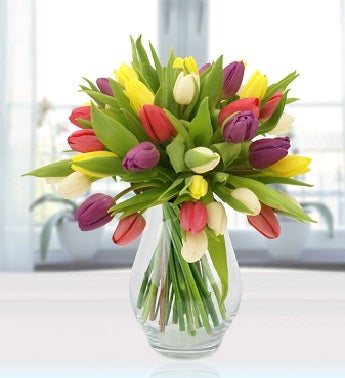 Simply Tulips
