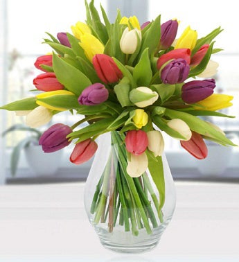 Simply Tulips