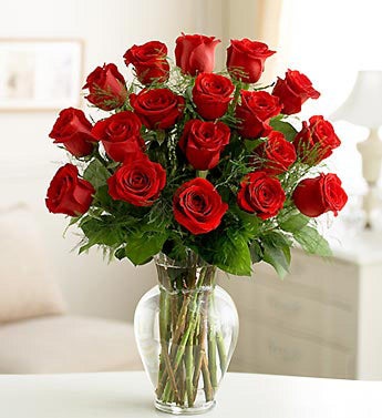 Rose Elegance? Premium Long Stem Red Roses