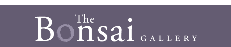 The Bonsai Gallery