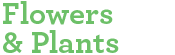 Flowers & Plants