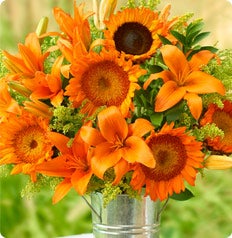 The Sunflower Shoppe