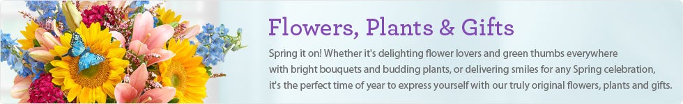 Flowers, Plants & Gifts
