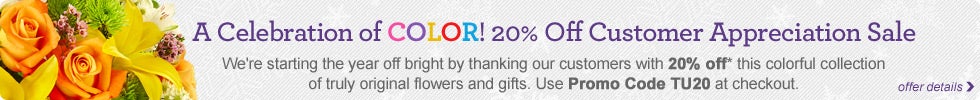 Customer Appreciation Sale - Save 20%