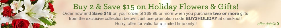 Buy 2 Save $15 on Holiday Flowers & Gifts