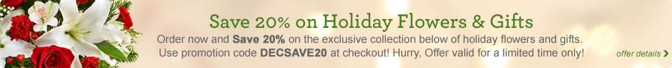 Save 20% on Holiday Flowers & Gifts