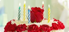Flower Cakes and Cupcakes