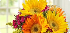 The Sunflower Shoppe