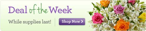 Deal of the Week