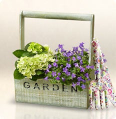 Greenhouse 