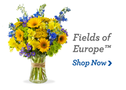 Fields of Europe