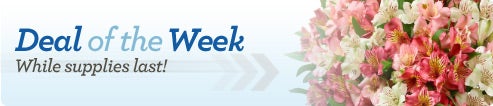 Deal of the Week