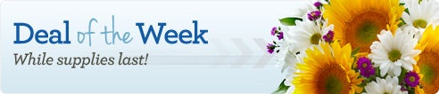 Deal of the Week