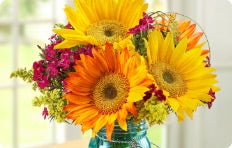 The Sunflower Shoppe