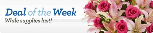 Deal of the Week