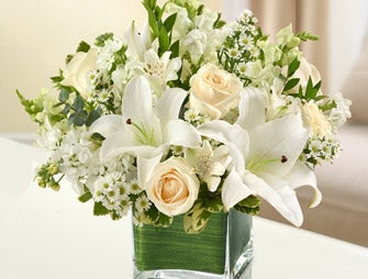 For the Home or Office
