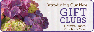Gift Clubs