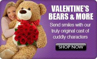 Valentine's Teddy Bears & More