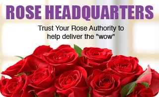 Rose Headquarters