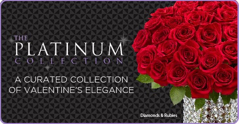 The Platinum Collection