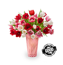 Valentine's Day Tulips