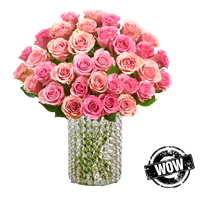 Pink Petals and Diamonds